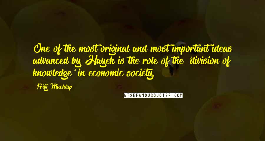 Fritz Machlup Quotes: One of the most original and most important ideas advanced by Hayek is the role of the 'division of knowledge' in economic society.