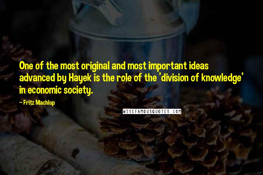 Fritz Machlup Quotes: One of the most original and most important ideas advanced by Hayek is the role of the 'division of knowledge' in economic society.