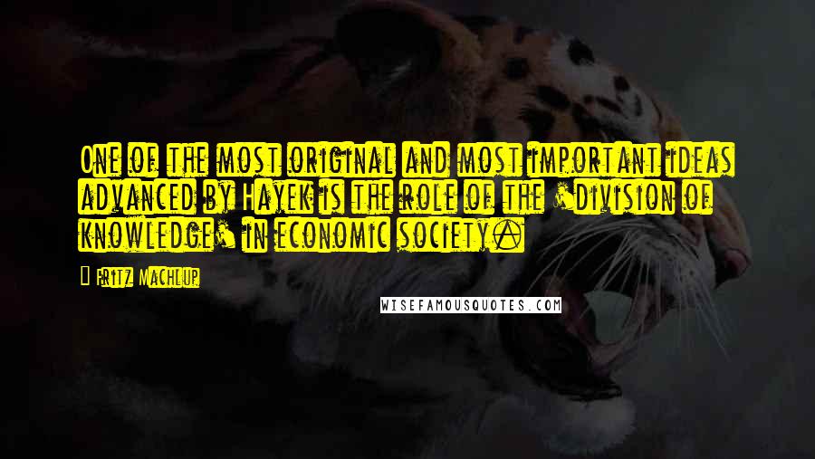 Fritz Machlup Quotes: One of the most original and most important ideas advanced by Hayek is the role of the 'division of knowledge' in economic society.