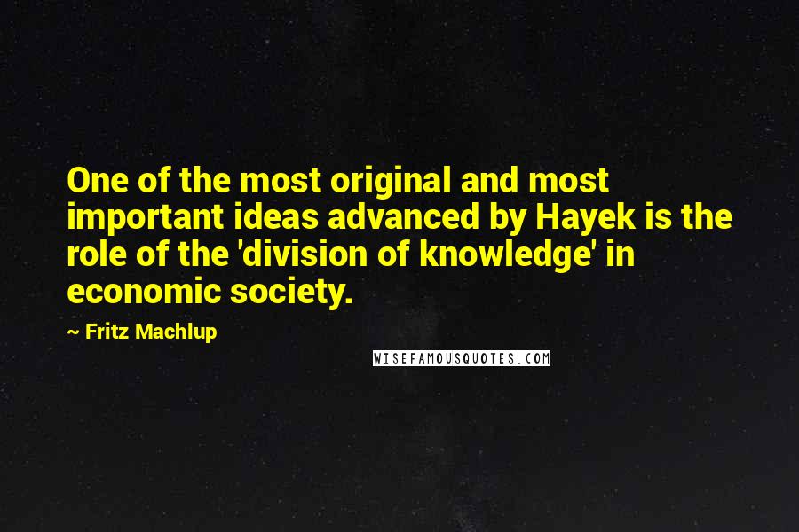 Fritz Machlup Quotes: One of the most original and most important ideas advanced by Hayek is the role of the 'division of knowledge' in economic society.