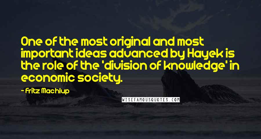 Fritz Machlup Quotes: One of the most original and most important ideas advanced by Hayek is the role of the 'division of knowledge' in economic society.