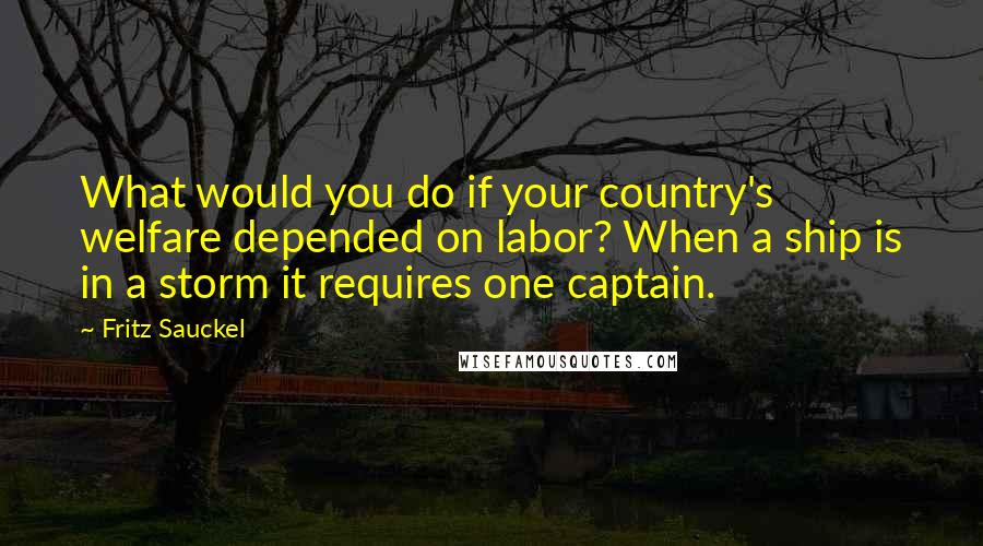 Fritz Sauckel Quotes: What would you do if your country's welfare depended on labor? When a ship is in a storm it requires one captain.
