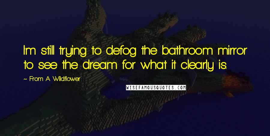 From A Wildflower Quotes: I'm still trying to defog the bathroom mirror to see the dream for what it clearly is.