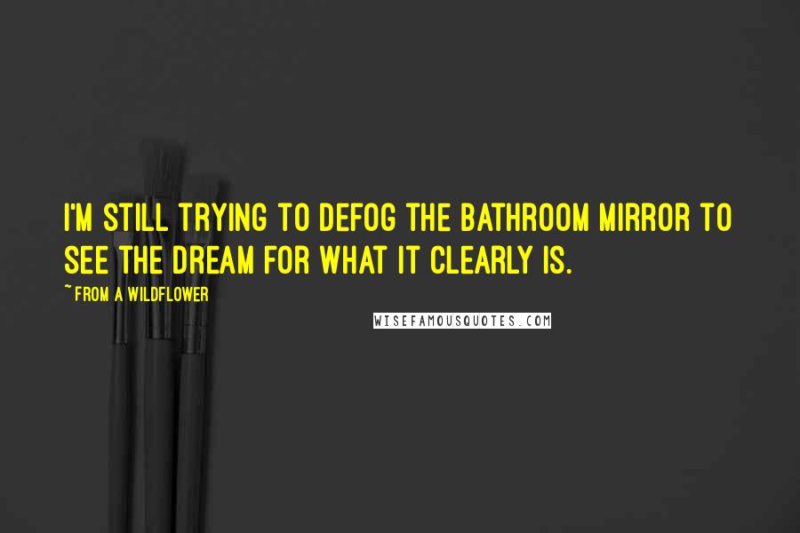 From A Wildflower Quotes: I'm still trying to defog the bathroom mirror to see the dream for what it clearly is.