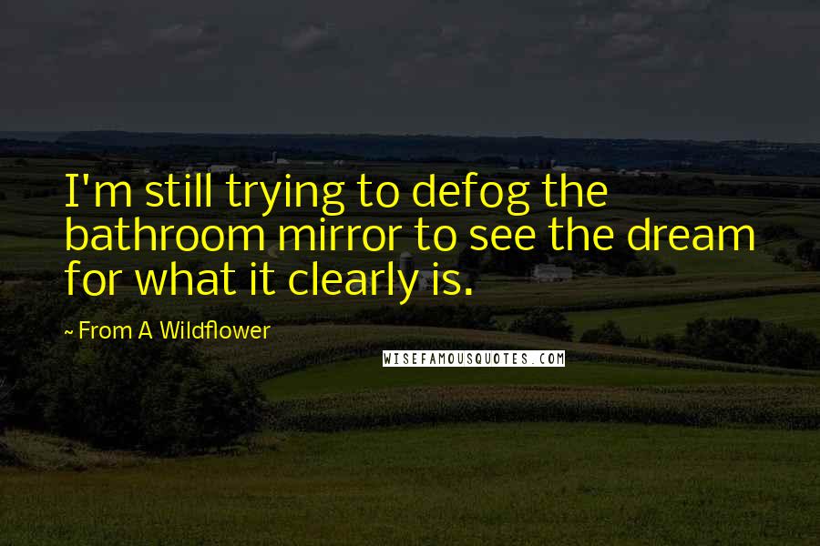 From A Wildflower Quotes: I'm still trying to defog the bathroom mirror to see the dream for what it clearly is.