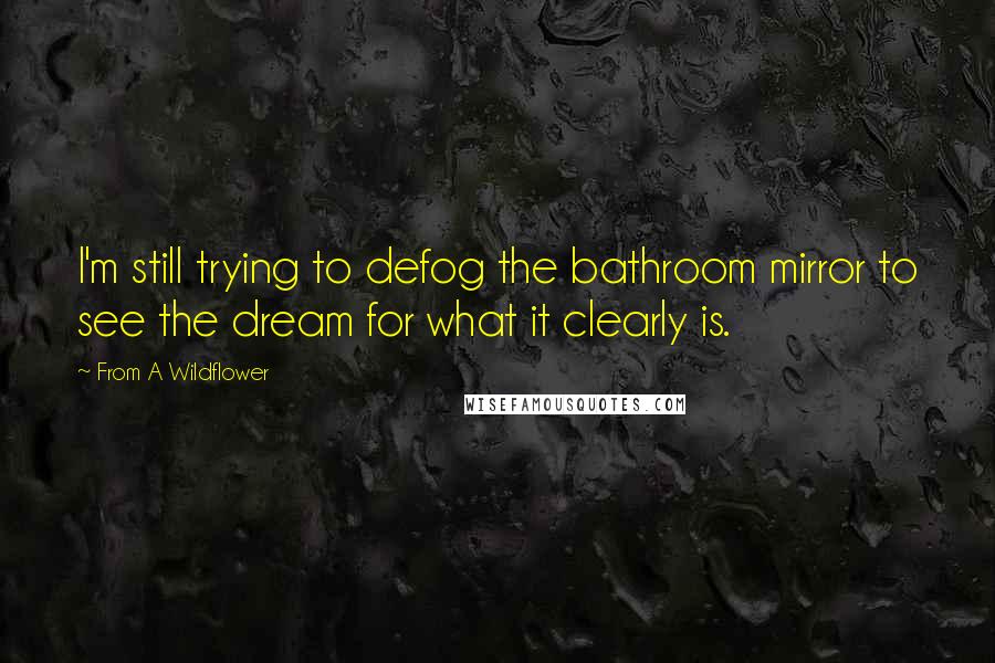 From A Wildflower Quotes: I'm still trying to defog the bathroom mirror to see the dream for what it clearly is.