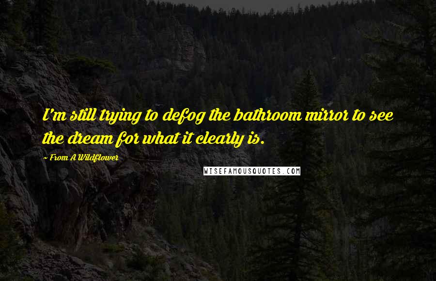From A Wildflower Quotes: I'm still trying to defog the bathroom mirror to see the dream for what it clearly is.