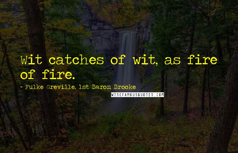 Fulke Greville, 1st Baron Brooke Quotes: Wit catches of wit, as fire of fire.