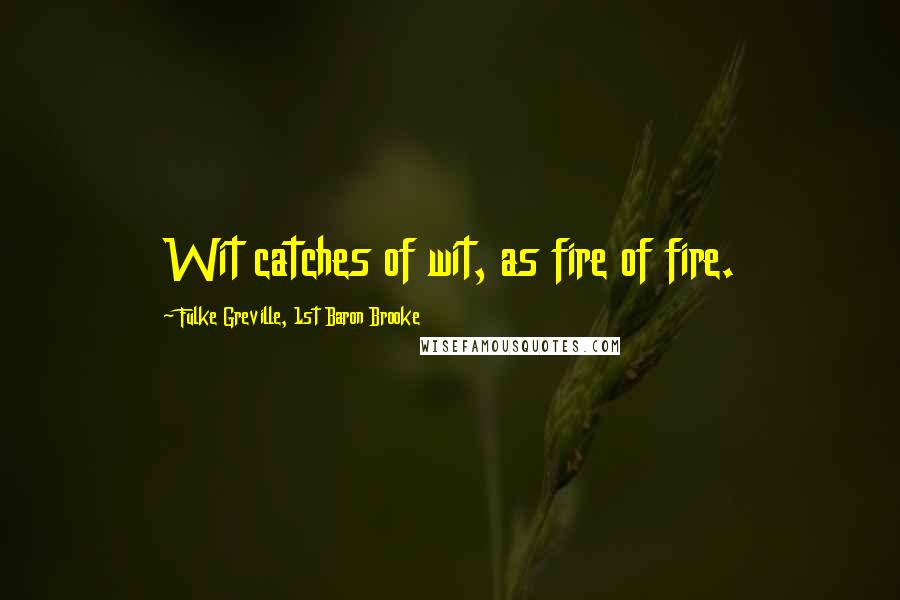 Fulke Greville, 1st Baron Brooke Quotes: Wit catches of wit, as fire of fire.