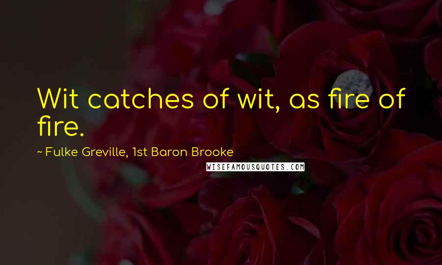 Fulke Greville, 1st Baron Brooke Quotes: Wit catches of wit, as fire of fire.