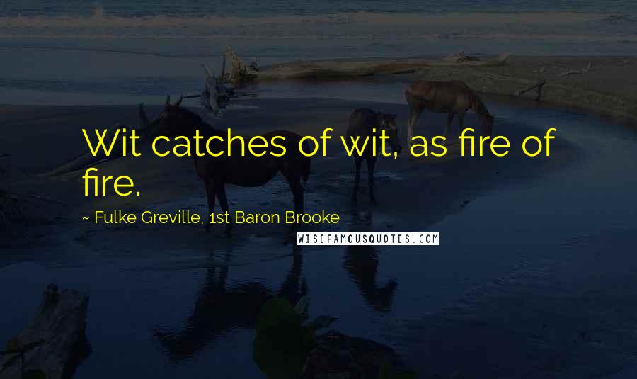Fulke Greville, 1st Baron Brooke Quotes: Wit catches of wit, as fire of fire.