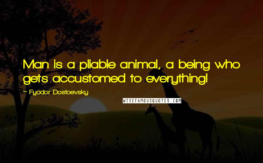 Fyodor Dostoevsky Quotes: Man is a pliable animal, a being who gets accustomed to everything!