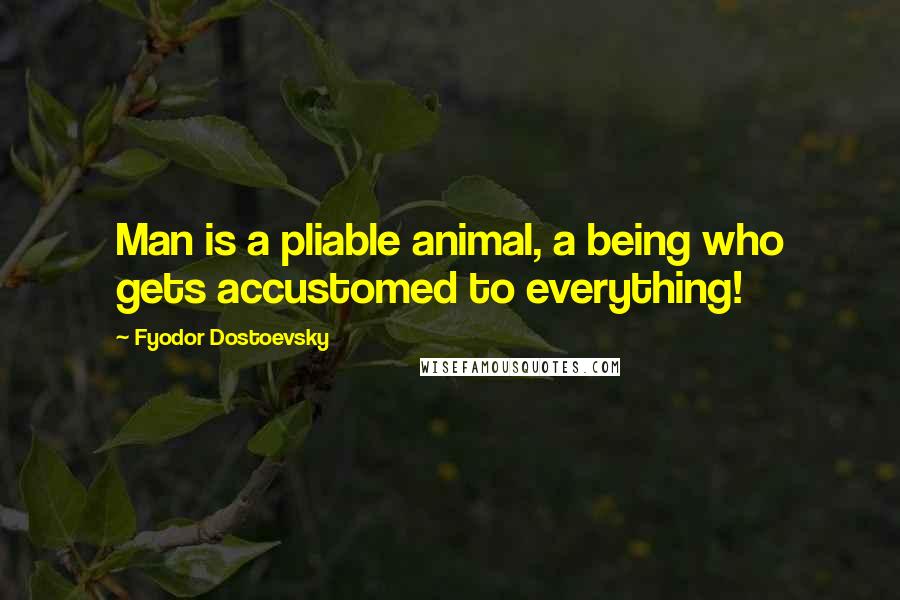 Fyodor Dostoevsky Quotes: Man is a pliable animal, a being who gets accustomed to everything!