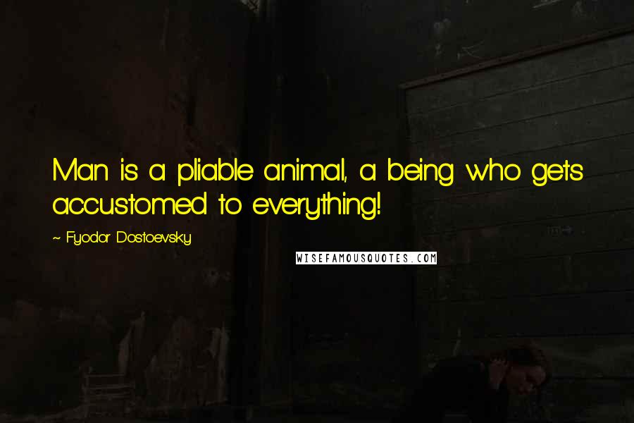 Fyodor Dostoevsky Quotes: Man is a pliable animal, a being who gets accustomed to everything!