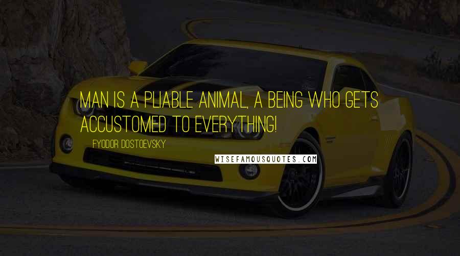 Fyodor Dostoevsky Quotes: Man is a pliable animal, a being who gets accustomed to everything!
