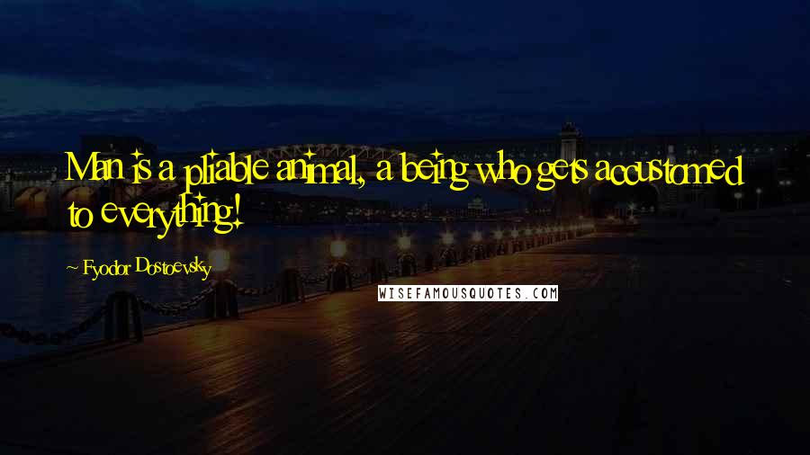 Fyodor Dostoevsky Quotes: Man is a pliable animal, a being who gets accustomed to everything!