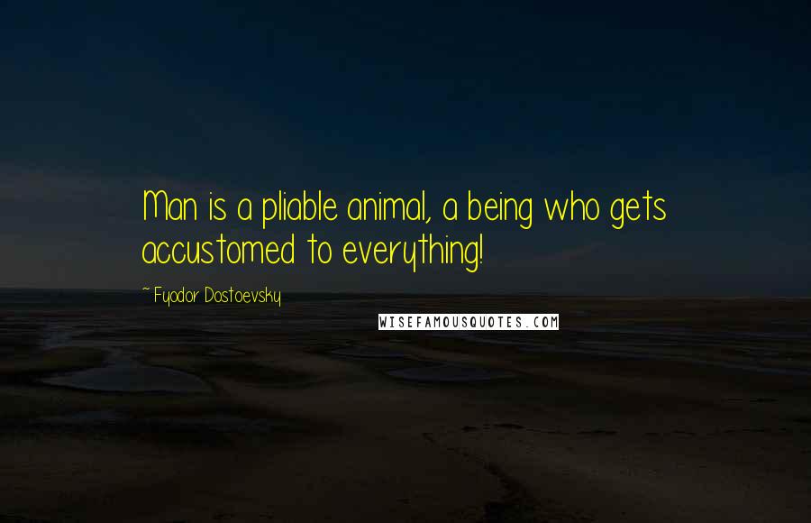 Fyodor Dostoevsky Quotes: Man is a pliable animal, a being who gets accustomed to everything!