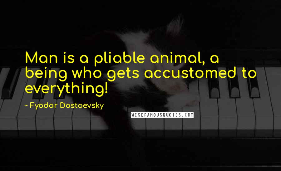 Fyodor Dostoevsky Quotes: Man is a pliable animal, a being who gets accustomed to everything!