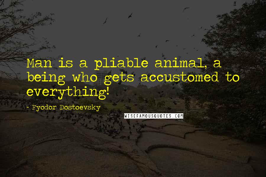 Fyodor Dostoevsky Quotes: Man is a pliable animal, a being who gets accustomed to everything!
