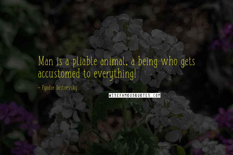 Fyodor Dostoevsky Quotes: Man is a pliable animal, a being who gets accustomed to everything!