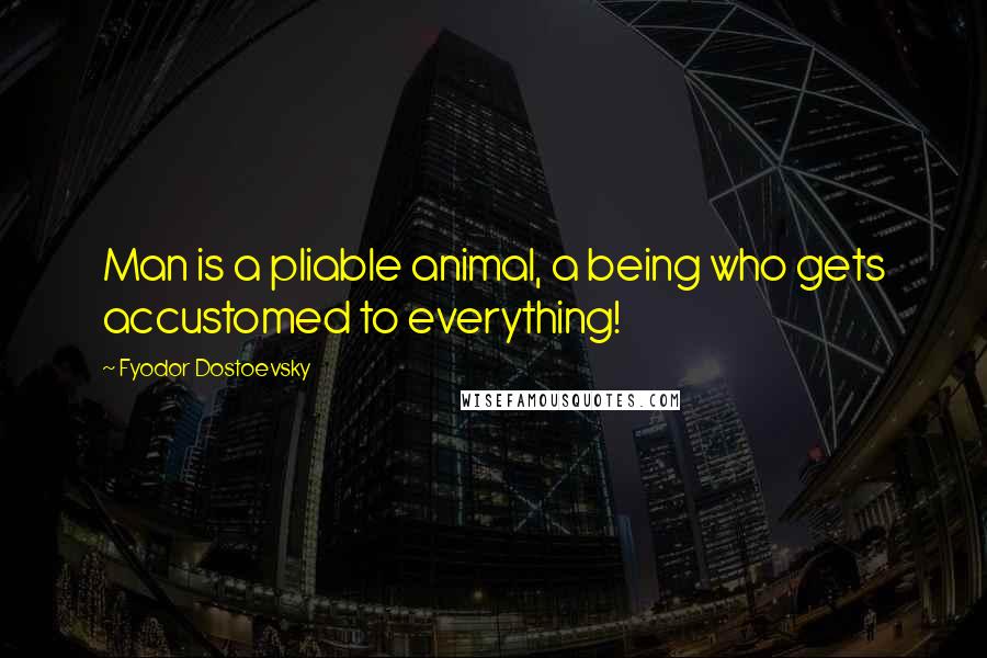 Fyodor Dostoevsky Quotes: Man is a pliable animal, a being who gets accustomed to everything!