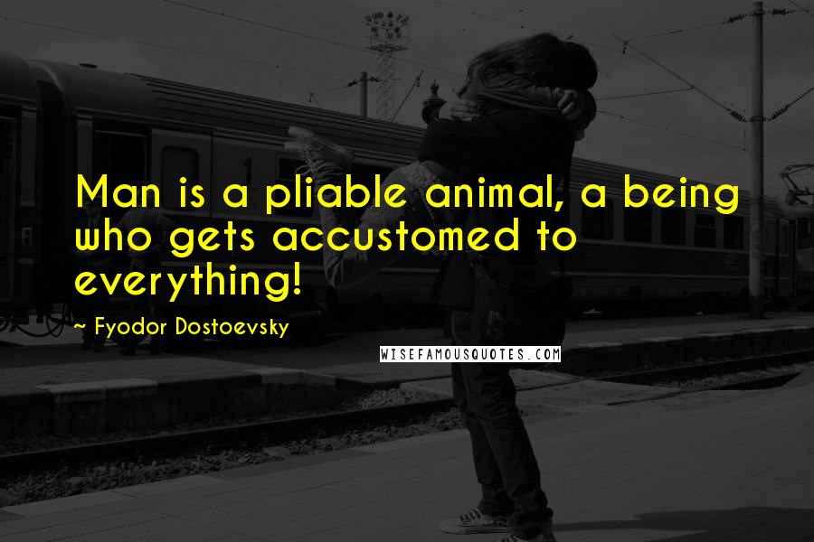 Fyodor Dostoevsky Quotes: Man is a pliable animal, a being who gets accustomed to everything!