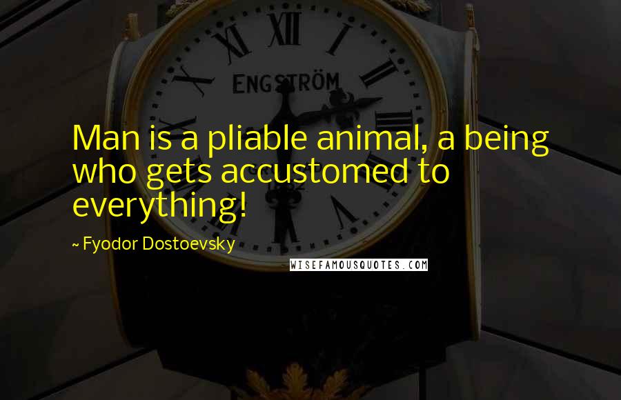 Fyodor Dostoevsky Quotes: Man is a pliable animal, a being who gets accustomed to everything!