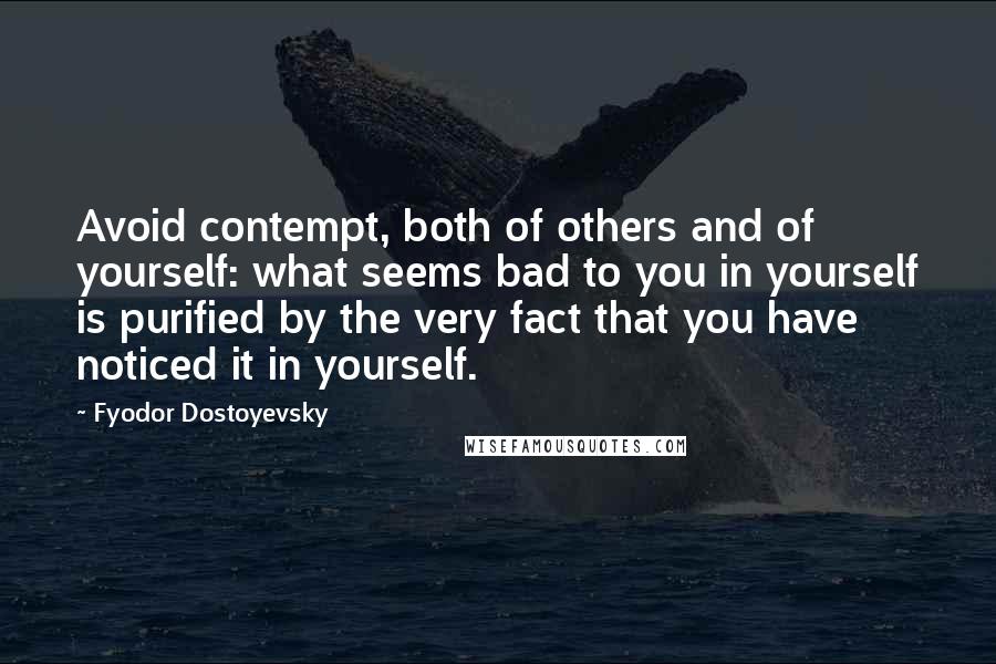 Fyodor Dostoyevsky Quotes: Avoid contempt, both of others and of yourself: what seems bad to you in yourself is purified by the very fact that you have noticed it in yourself.