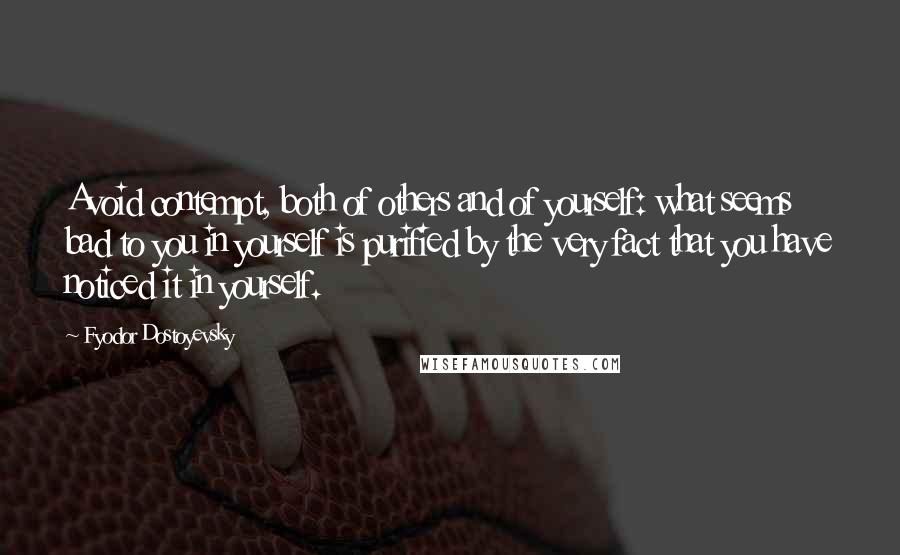 Fyodor Dostoyevsky Quotes: Avoid contempt, both of others and of yourself: what seems bad to you in yourself is purified by the very fact that you have noticed it in yourself.