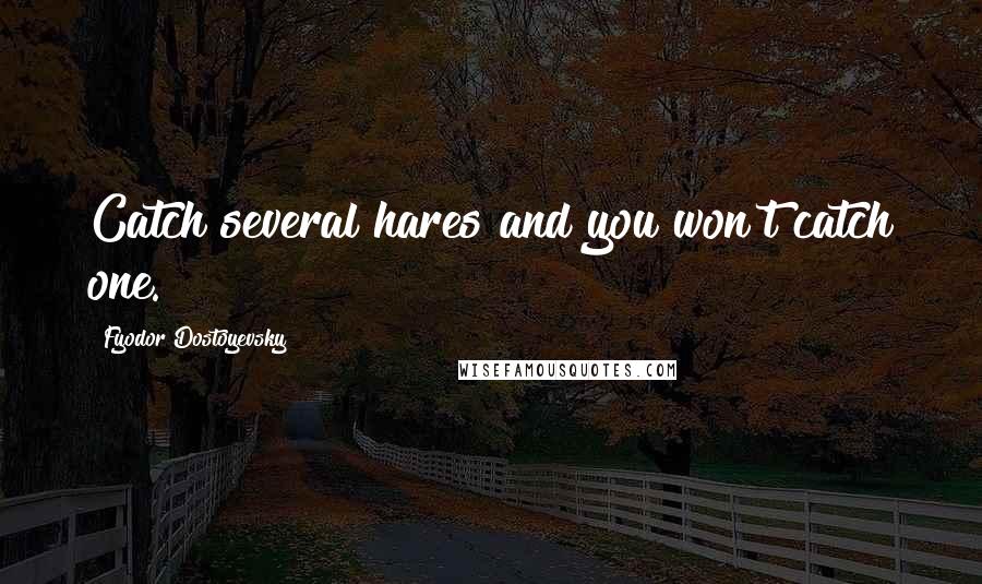 Fyodor Dostoyevsky Quotes: Catch several hares and you won't catch one.