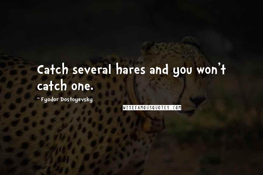 Fyodor Dostoyevsky Quotes: Catch several hares and you won't catch one.