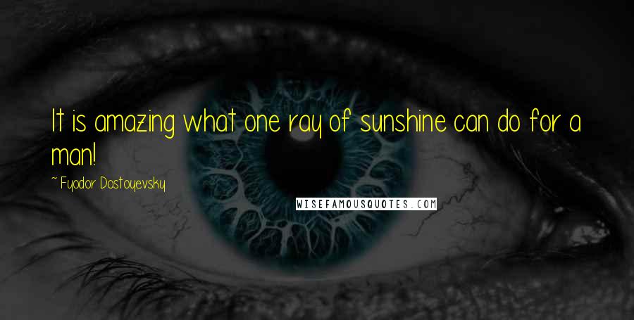 Fyodor Dostoyevsky Quotes: It is amazing what one ray of sunshine can do for a man!