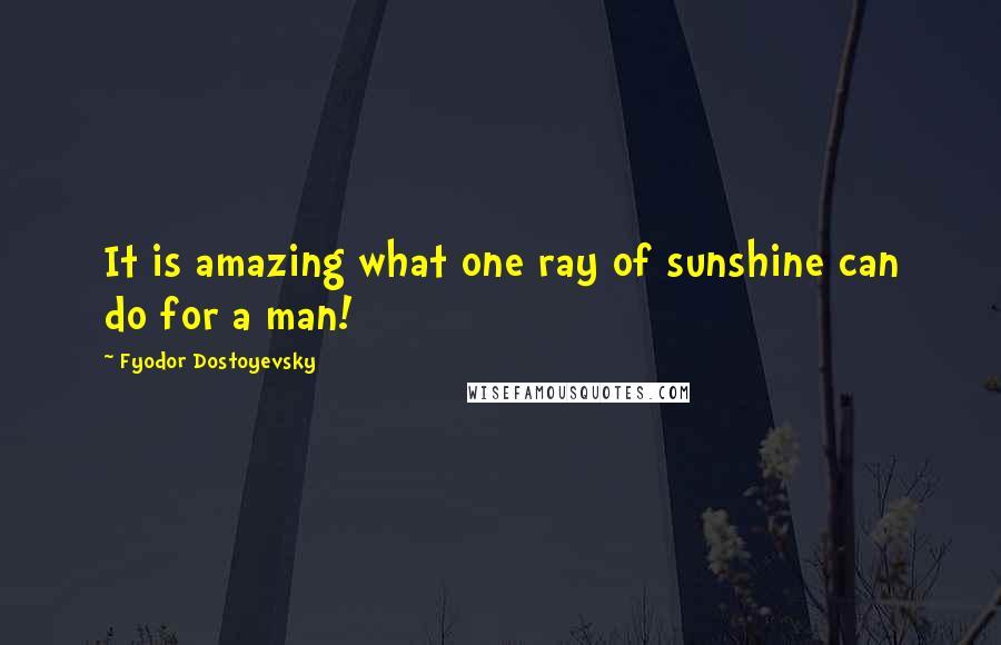 Fyodor Dostoyevsky Quotes: It is amazing what one ray of sunshine can do for a man!