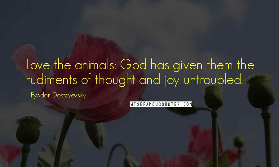Fyodor Dostoyevsky Quotes: Love the animals: God has given them the rudiments of thought and joy untroubled.
