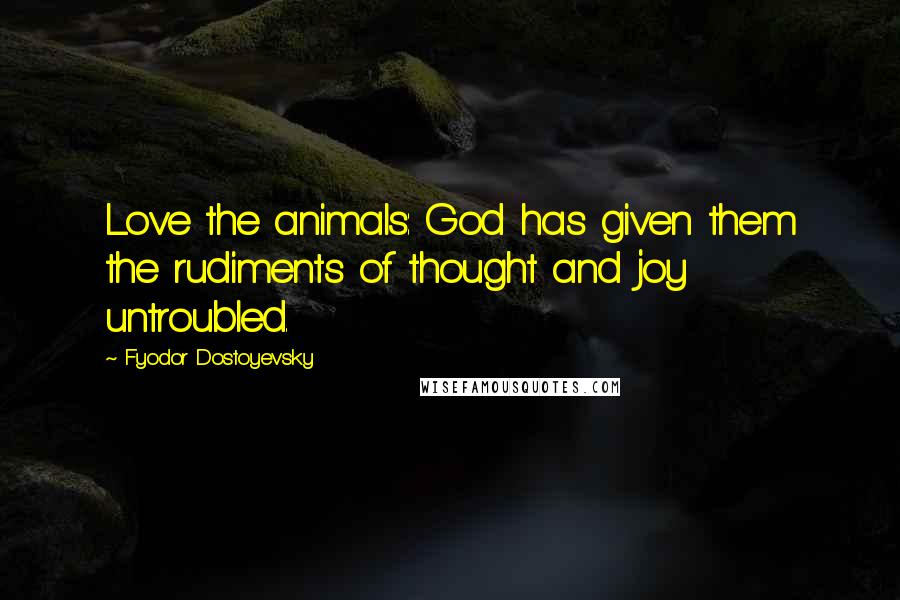 Fyodor Dostoyevsky Quotes: Love the animals: God has given them the rudiments of thought and joy untroubled.