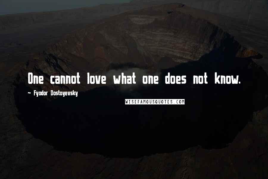 Fyodor Dostoyevsky Quotes: One cannot love what one does not know.