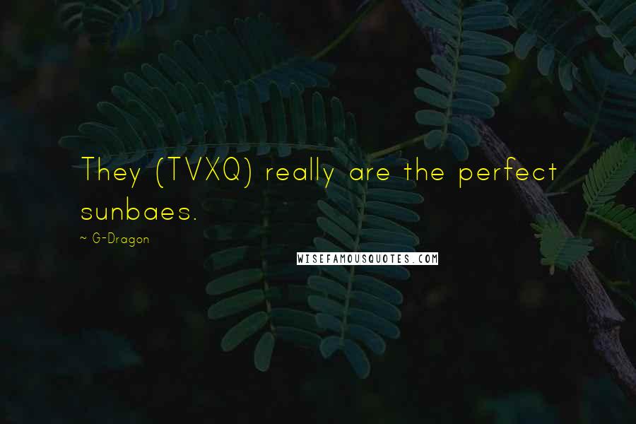 G-Dragon Quotes: They (TVXQ) really are the perfect sunbaes.