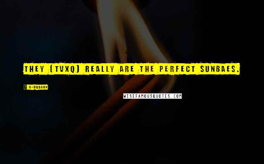 G-Dragon Quotes: They (TVXQ) really are the perfect sunbaes.