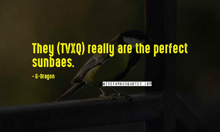 G-Dragon Quotes: They (TVXQ) really are the perfect sunbaes.