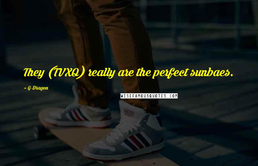 G-Dragon Quotes: They (TVXQ) really are the perfect sunbaes.