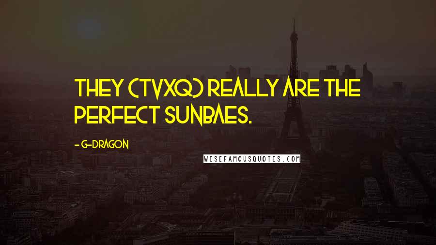 G-Dragon Quotes: They (TVXQ) really are the perfect sunbaes.