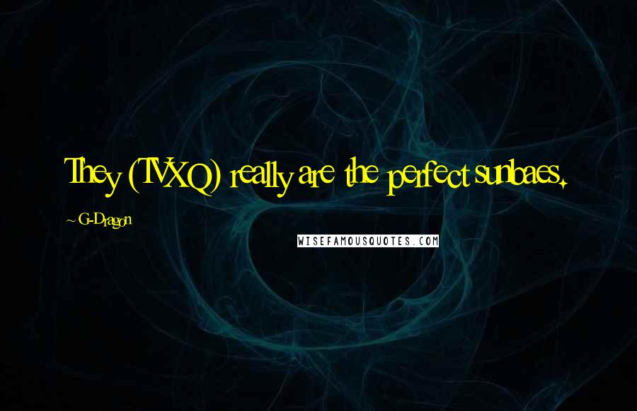 G-Dragon Quotes: They (TVXQ) really are the perfect sunbaes.