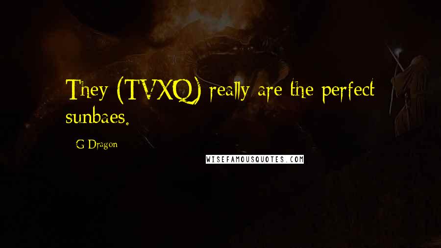 G-Dragon Quotes: They (TVXQ) really are the perfect sunbaes.