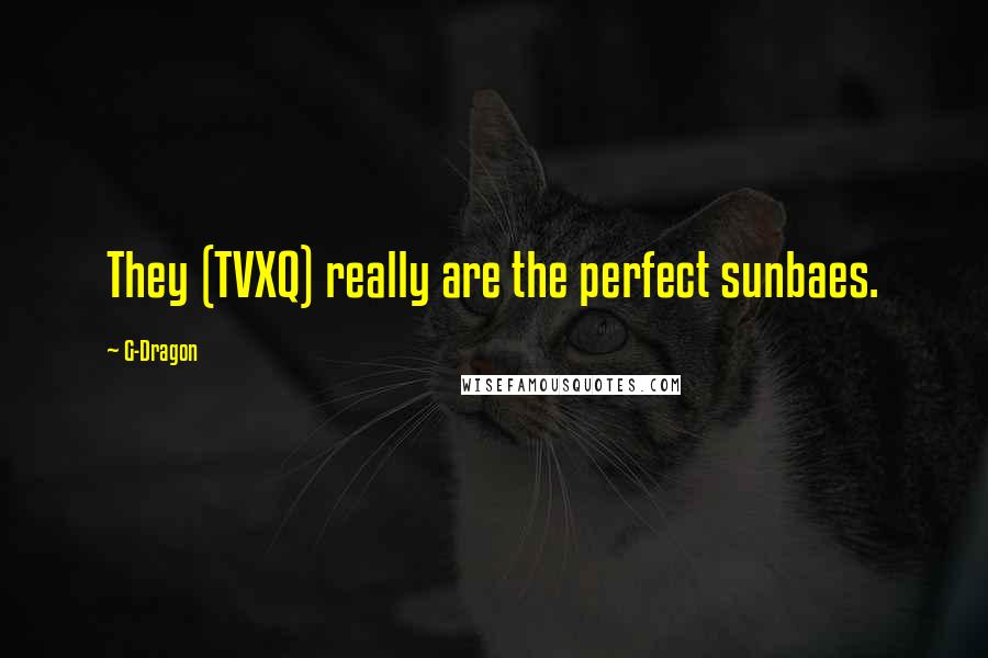 G-Dragon Quotes: They (TVXQ) really are the perfect sunbaes.