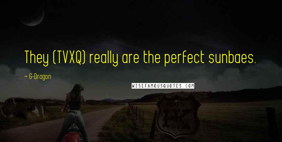 G-Dragon Quotes: They (TVXQ) really are the perfect sunbaes.