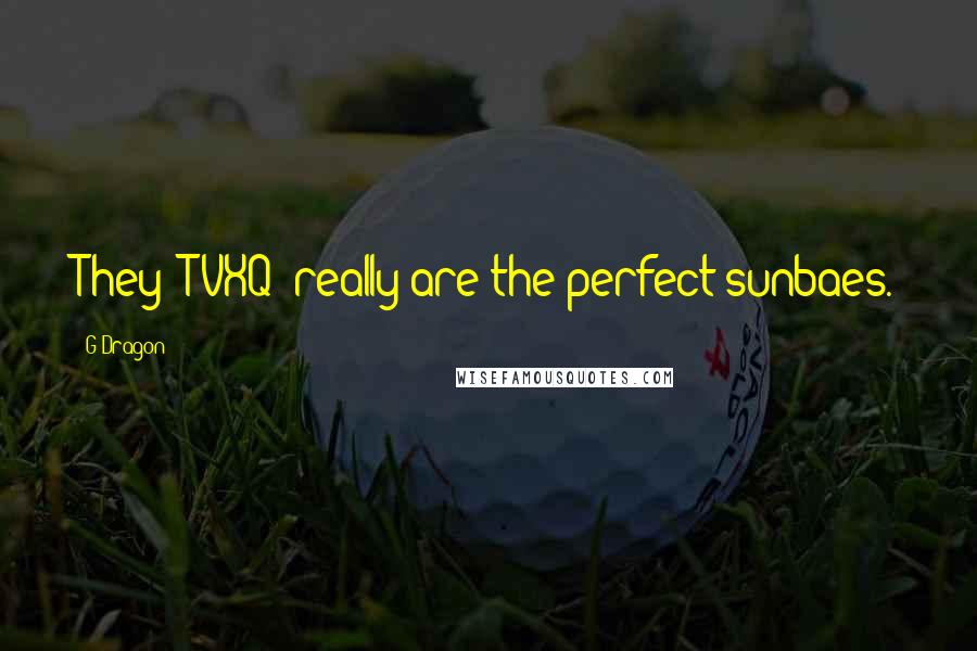 G-Dragon Quotes: They (TVXQ) really are the perfect sunbaes.