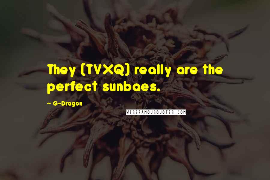 G-Dragon Quotes: They (TVXQ) really are the perfect sunbaes.