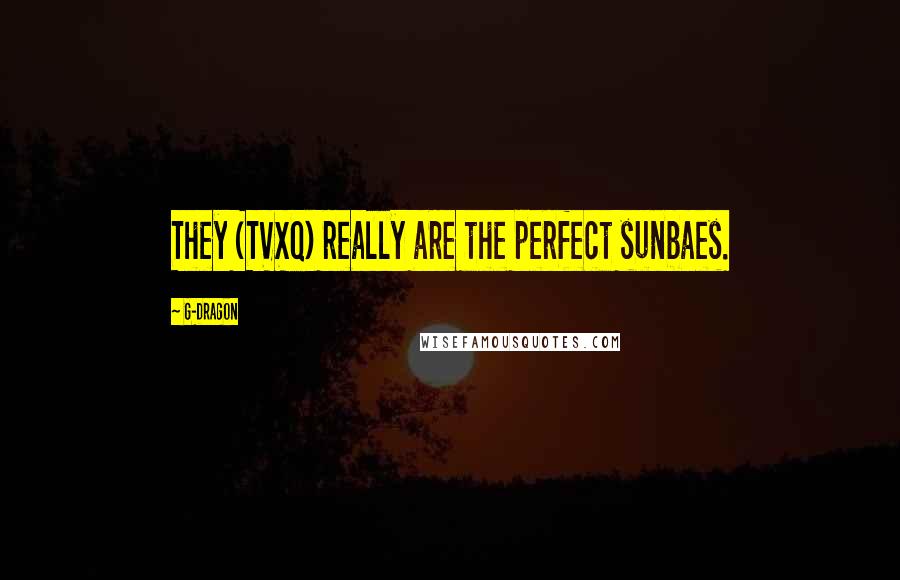 G-Dragon Quotes: They (TVXQ) really are the perfect sunbaes.