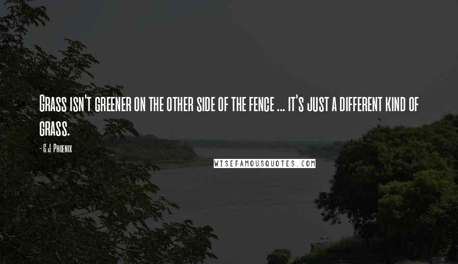 G.J. Phoenix Quotes: Grass isn't greener on the other side of the fence ... it's just a different kind of grass.