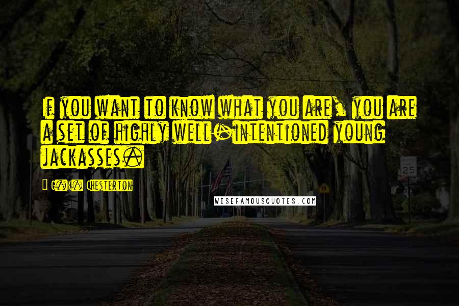 G.K. Chesterton Quotes: If you want to know what you are, you are a set of highly well-intentioned young jackasses.